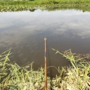 �ޤ���Ǻ�����������¡�