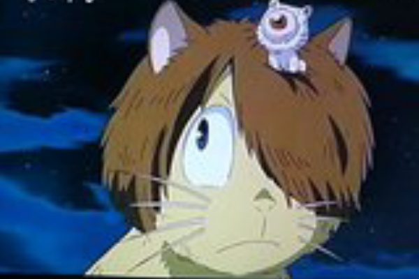 常時睡眠不足 映画 動画 アニメ