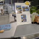 ≪ 2026-2/8 更新 ≫