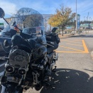 とおりがかりの名城公園