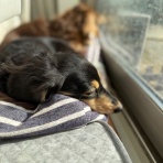  Every day is a good day