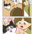 猫沼に落とされるキッカケになった猫の話。1/2