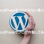 どせぜんの雑記