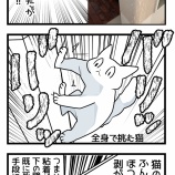 パワー型猫の爪とぎ対策した話とおススメ