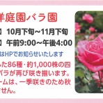 柏の葉サイクルライフ