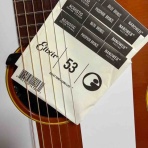 『その後の』 かたぎ家のココロ