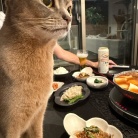 純豆腐鍋の夜ごはん