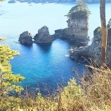 『夏季休業のお知らせ』の画像