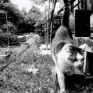 仕事か遊びかわからないこと