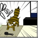 【猫との暮らし】爬虫類恐怖症な猫【不思議】