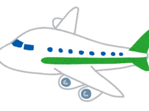【悲報】美人まんさん、飛行機で子供が泣いてクレーマーに怒鳴られてしまう