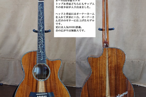 ハードケースセット価格　toyaギターカスタムオーダーメイド(d45タイプ) ハードケースセット価格 toyaギターカスタムオーダーメイド(d45タイプ