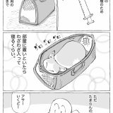うちの犬のルカ。【９７】