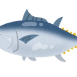 『マグロって過大評価すぎないか？』の画像