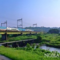 真夏の雲出川石橋