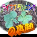 ３章02.<日常生活のイベント>に必要な費用は、どのように分類できるか？