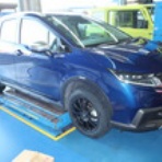 pro shop SCREEN Work Diary