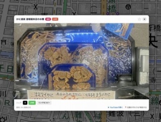日本中のライブカメラを地図から選んで覗けるようにしてみた「ハマる人はハマりそう」