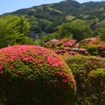 長野県安曇野市在住 KITAZAWAのブログ