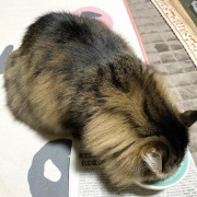2階へ母を連れて行くマロちゃん