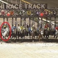 7/4 船橋ハートビートナイター記念(B1B2)【ホワイトヘッド≪60戦目≫】