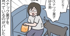 家猫の肉球ってやわらかい