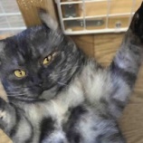 『甘え上手なみえちゃん💗』の画像