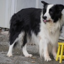 Ｄちゃん元気です