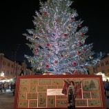 『【写真多めレポ】着物でクリスマスマーケットin横浜赤レンガ倉庫』の画像