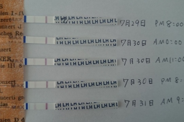 事実婚生活 排卵検査薬