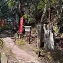 高野参詣道（京大坂道）［極楽橋駅〜学文路駅］（2026年3月21日）