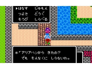 RPGで全てのNPCに話しかけないと気が済まない奴ｗｗｗｗ