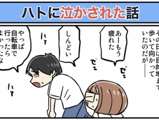 ハトに泣かされた話