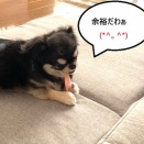 アタフタの一日(一一")