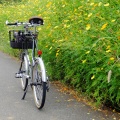 サドル盗難自転車とラッキーストライク!!