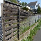 小金井市中町の探索