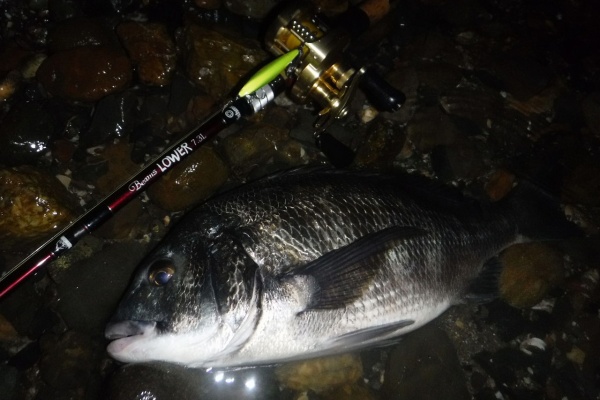 Seabass Style ビッグワンを求めて 浜名湖