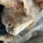 おヒゲが切れてもお毛毛薄くても、かわいいぼくちん