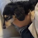 それだけ｡
