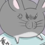 毎日全身タイツ日和