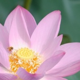 『誰もが、いつかは』の画像