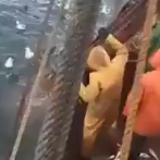 【動画】漁師さん、とんでもない生き物を捕獲してしまうｗｗｗｗｗｗ
