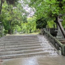 夏休み中の🏫の解放を文科省が要請した件