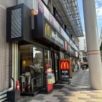 かわうそ、だもんで。