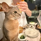 海外出張帰りの、和食の夜ごはん