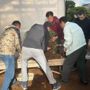 チーム木村先生❗️国風展“本鉢植替え“‼️