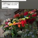 本日9/26の営業についてのお知らせ