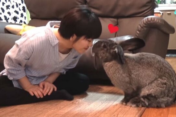 うのくらし フレミッシュジャイアント