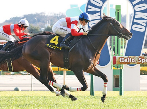 【競馬予想】[1]第74回阪神大賞典(GⅡ) /2026