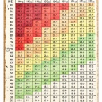 50代からのダイエットでまんてん生活！